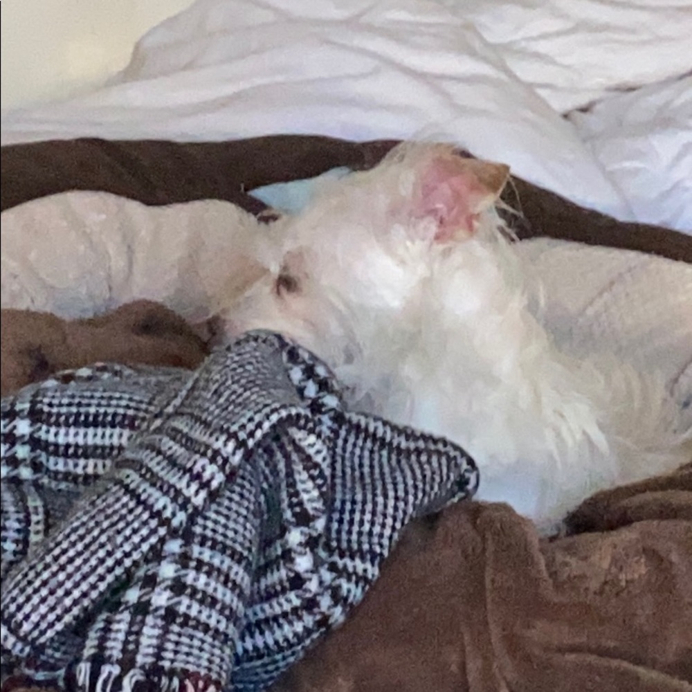 Meet your Posher, Melinda